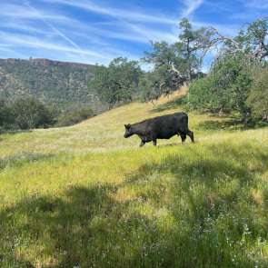 Squaw Leap March 26, 2022
